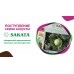 Ожидается большое поступление капусты японской фирмы Sakata в Агрофирме "Семком"! Новинки и популярные гибриды!