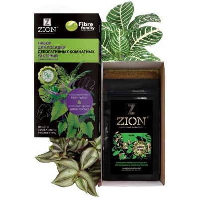 Набор Цион (Zion) для посадки декоративных комнатных растений (10шт) - купить оптом