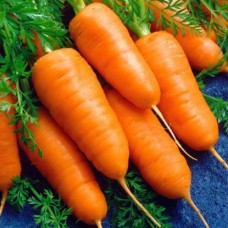 Морковь Шантенэ 2461 в кг сред. ранн. РС