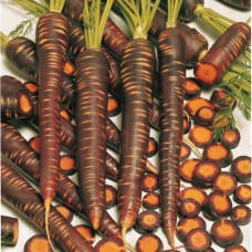Морковь Пёрпл Хейз F1 в кг фр 1,8-2,0мм сред. ВЕ