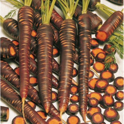Морковь Пёрпл Хейз F1 в кг фр 1,8-2,0мм сред. ВЕ - купить оптом