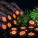 Морковь Пёрпл Хейз F1 0,5г ВитаГрин ЭКСТРА - купить оптом