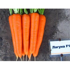 Морковь Лагуна F1 (25 000шт) N