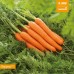 Морковь Лагуна F1 (25 000шт) N - купить оптом