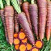 Морковь Фиолетовая Королева F1 3г (ЭКО-СЕРИЯ) АБЦ - купить оптом