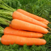 Морковь Витаминная 6 10г з/п РС - купить оптом
