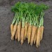 Морковь Еллоустоун 0,5г ВитаГрин ЭКСТРА - купить оптом
