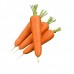 Морковь Олимпо F1  0,5г Мировые Семена VITA GREEN - купить оптом