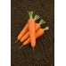 Морковь Олимпо F1  0,5г Мировые Семена VITA GREEN - купить оптом