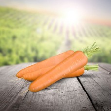 Морковь Олимпо F1  0,5г Мировые Семена VITA GREEN