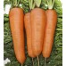 Морковь Шантанэ Курода 1г Мировые Семена VITA GREEN - купить оптом