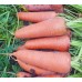 Морковь Каскад F1  0,5г Мировые Семена VITA GREEN - купить оптом