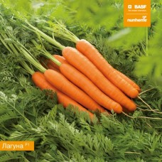 Морковь Лагуна F1  0,5г Мировые Семена VITA GREEN
