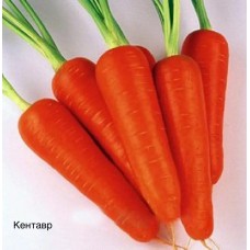 Морковь Кентавр (Шантане Курода) (1кг) OREKA SEEDS