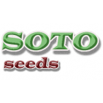 Soto Seeds - купить оптом