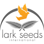 Lark Seeds