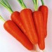 Морковь Абако F1 фр.1,6-1,8мм ран.  в кг S - купить оптом