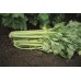 Сельдерей листовой Афина 0,5 г Мировые Семена VITA GREEN - купить оптом