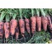 Морковь Кюрасао F1 0,5г ВитаГрин ЭКСТРА - купить оптом